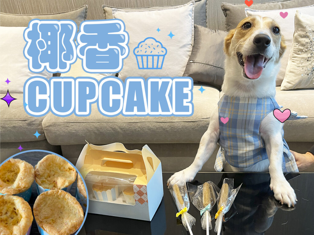【毛孩教煮】椰香CUPCAKE