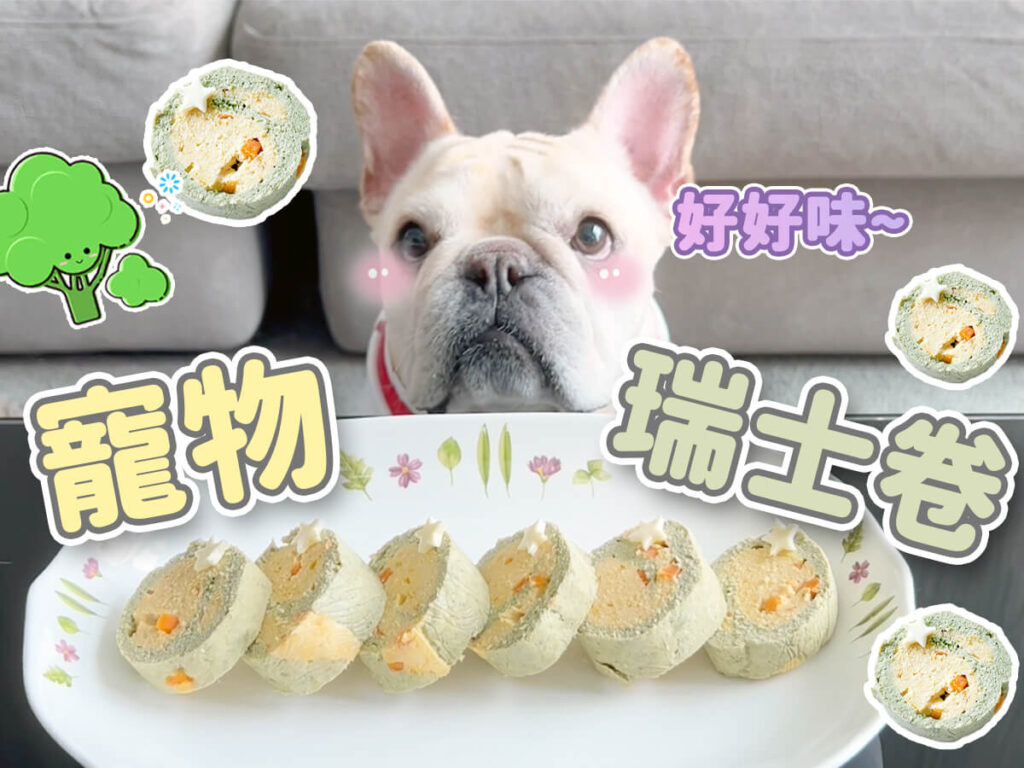 【毛孩教煮】寵物瑞士卷