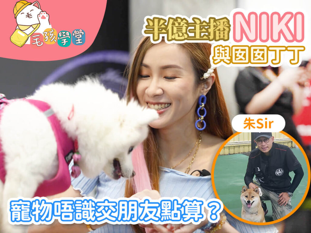 【毛孩學堂】朱Sir教寵物唔識交朋友點算？半億主播Niki與囡囡丁丁
