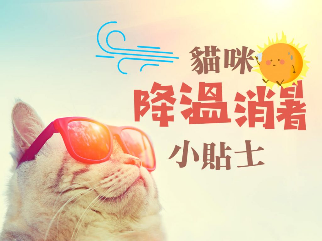 【毛孩知識】貓咪降溫消暑小貼士 【毛孩知識】貓咪降溫消暑小貼士