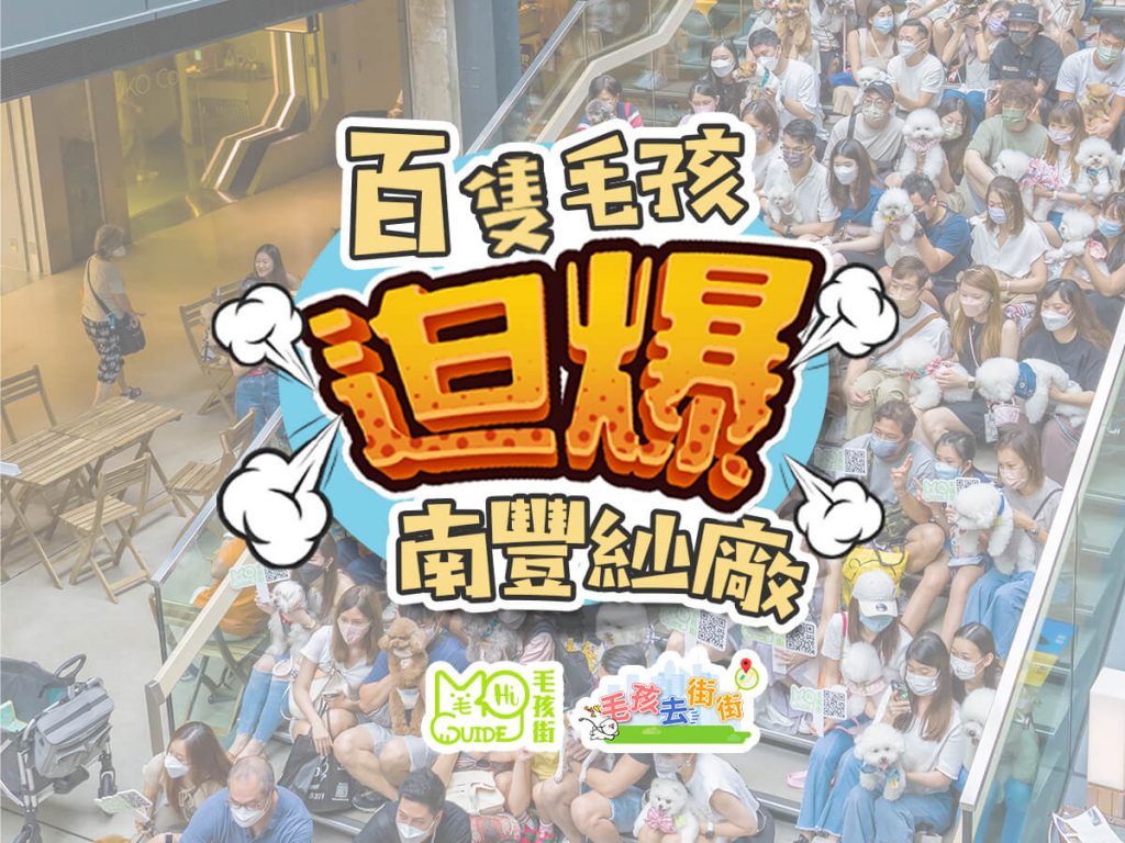 【毛孩去街街】百隻毛孩迫爆南豐紗廠