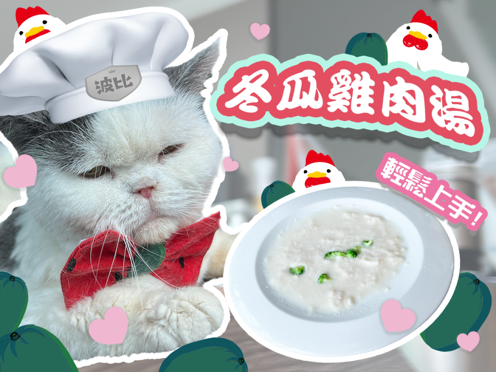 【毛孩教煮】冬瓜雞肉湯