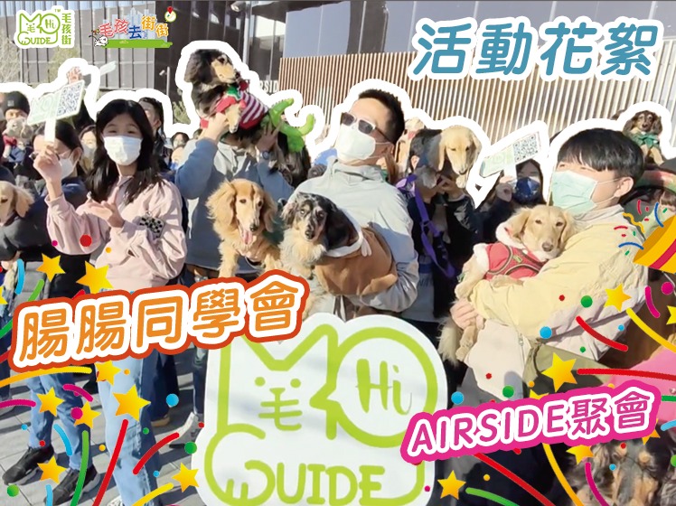 毛孩街 X 腸腸同學會