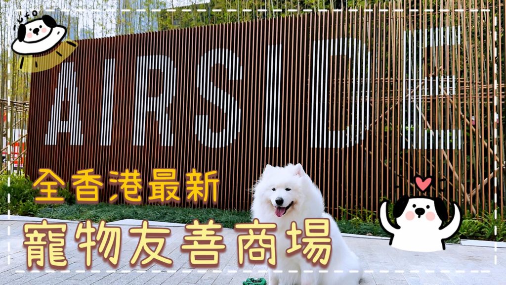 毛孩街 X Big Dog Channel