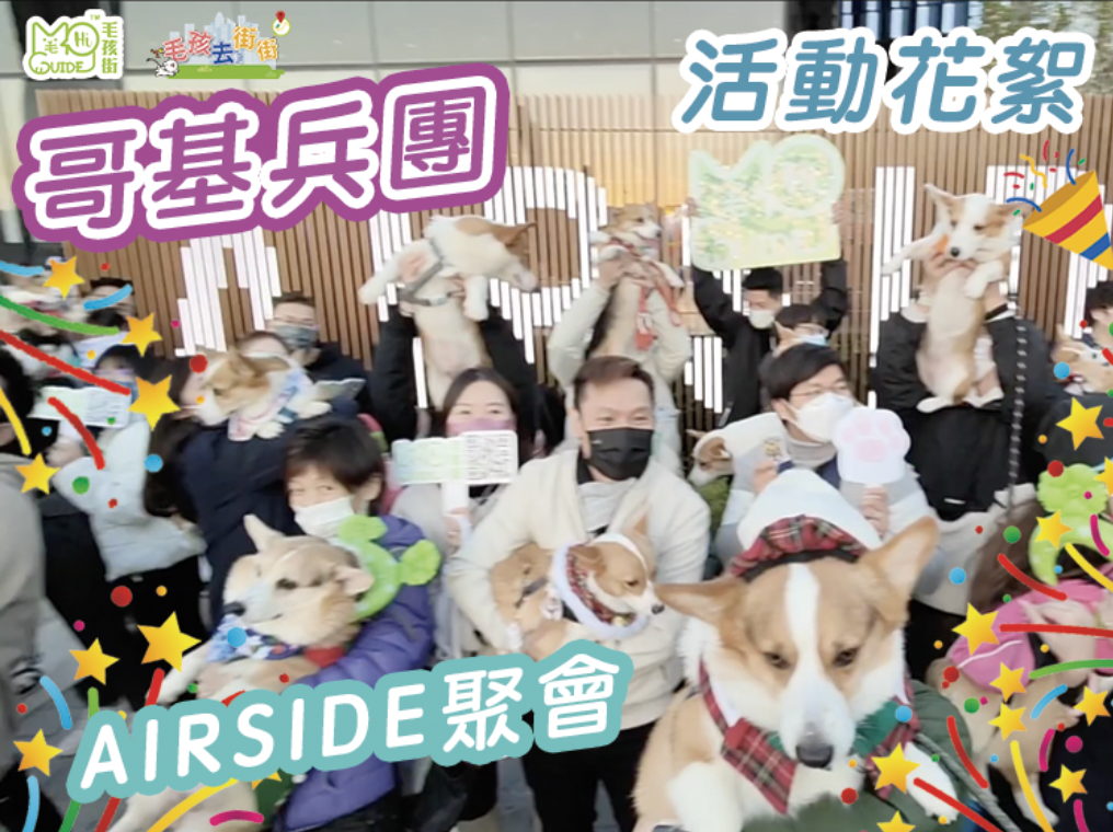 【毛孩街 X 哥基兵團 】