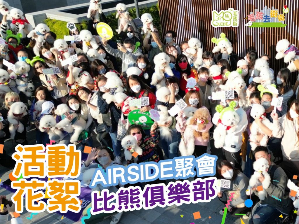 【毛孩街 X 比熊俱樂部】