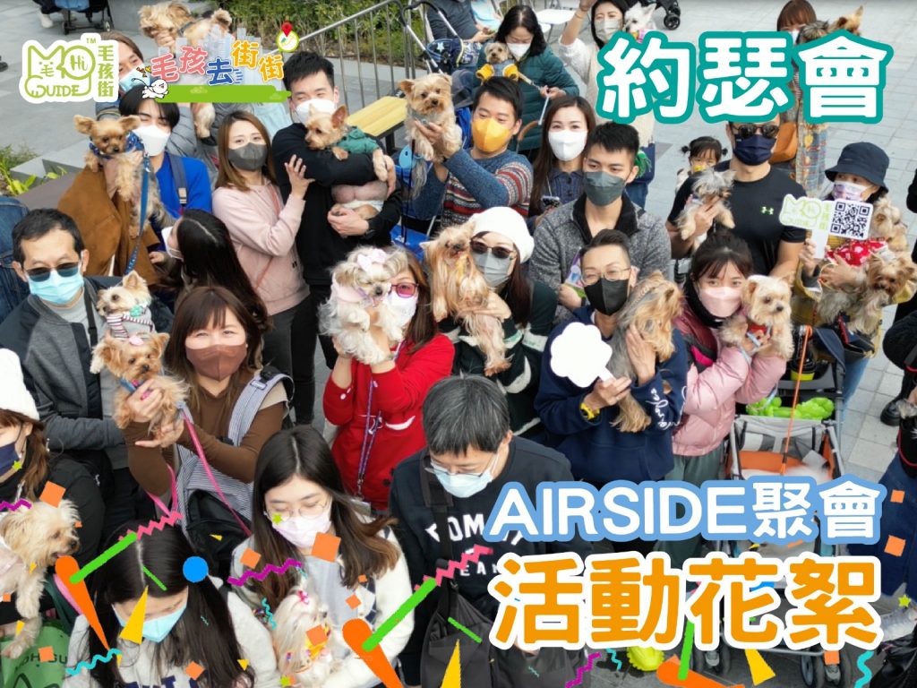 【毛孩街 X 約瑟會】