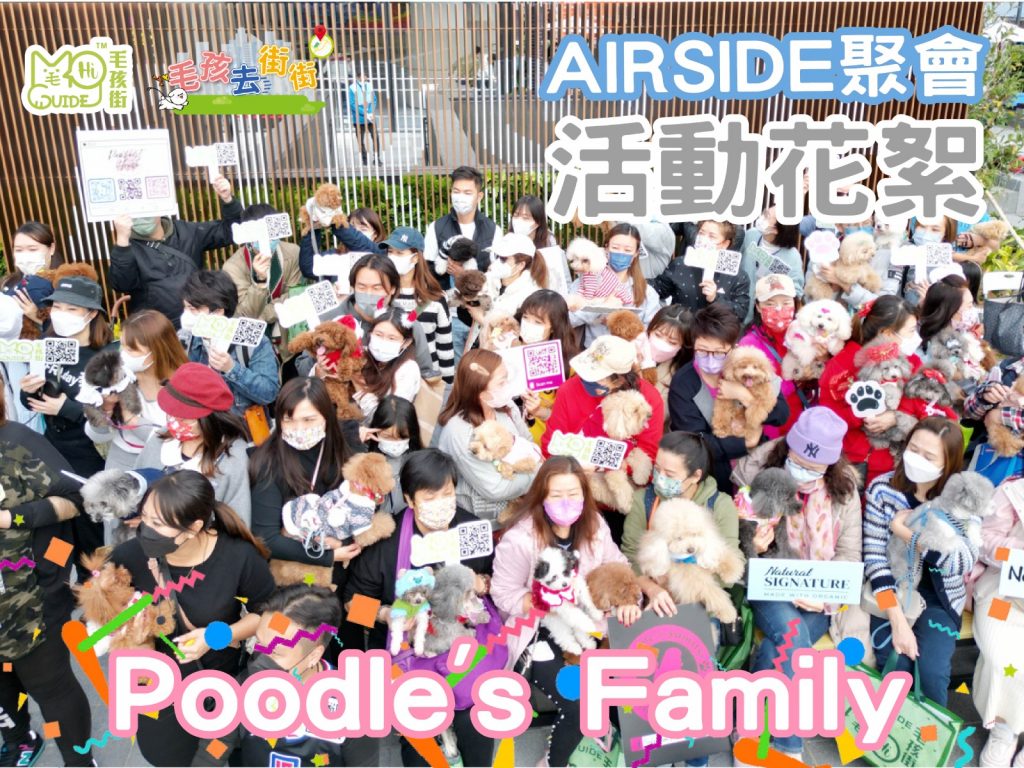 【毛孩街 X Poodle’s family】