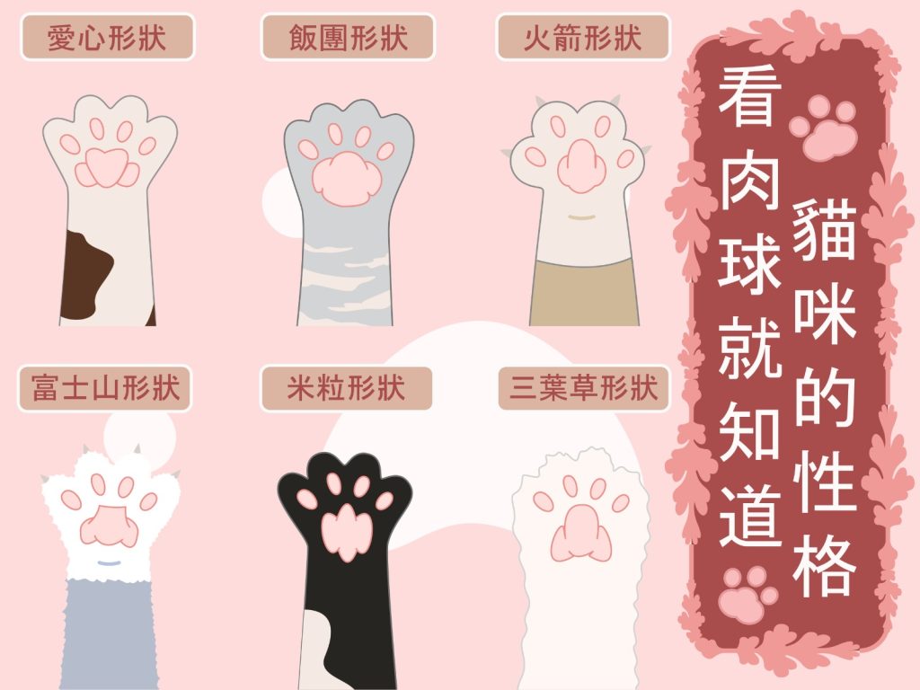 【毛孩知識】看肉球就知道貓咪🐱的性格❗
