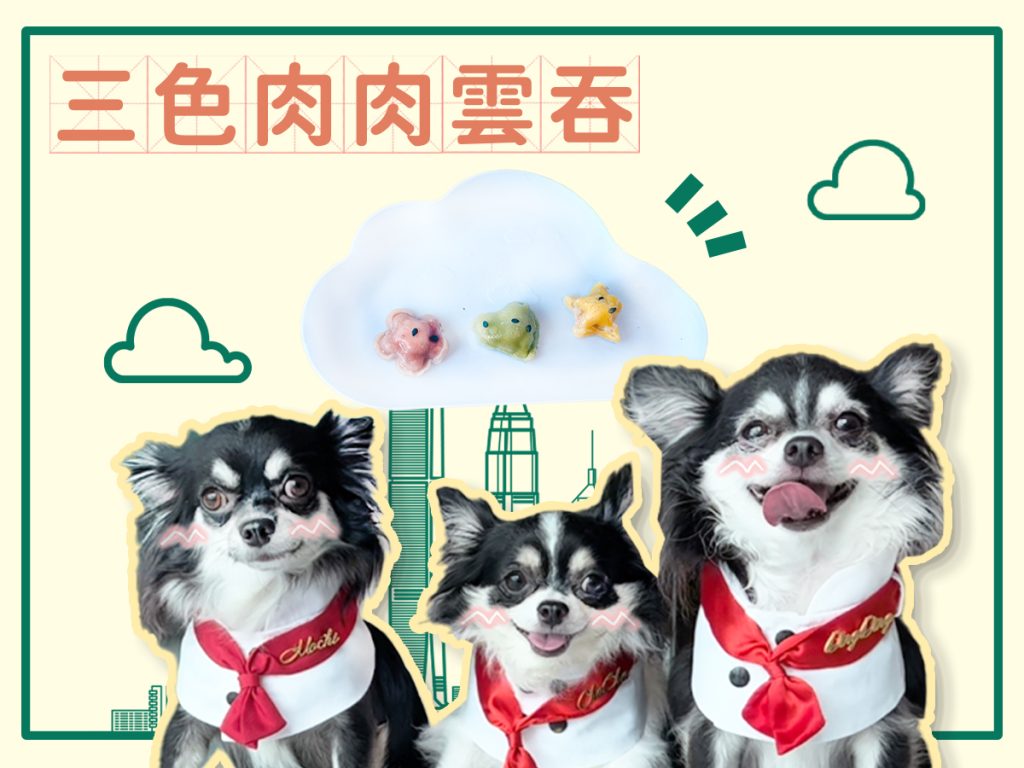 【毛孩教煮】三色肉肉雲吞🥟