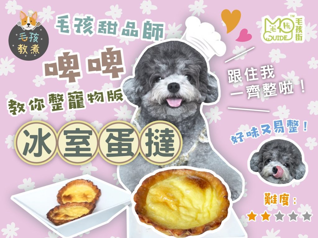 【毛孩教煮】寵物蛋撻🥧