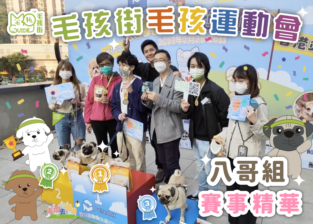 【毛孩街⛳️毛孩運動會】🏆【八哥組】活動花絮+賽事精華🏅