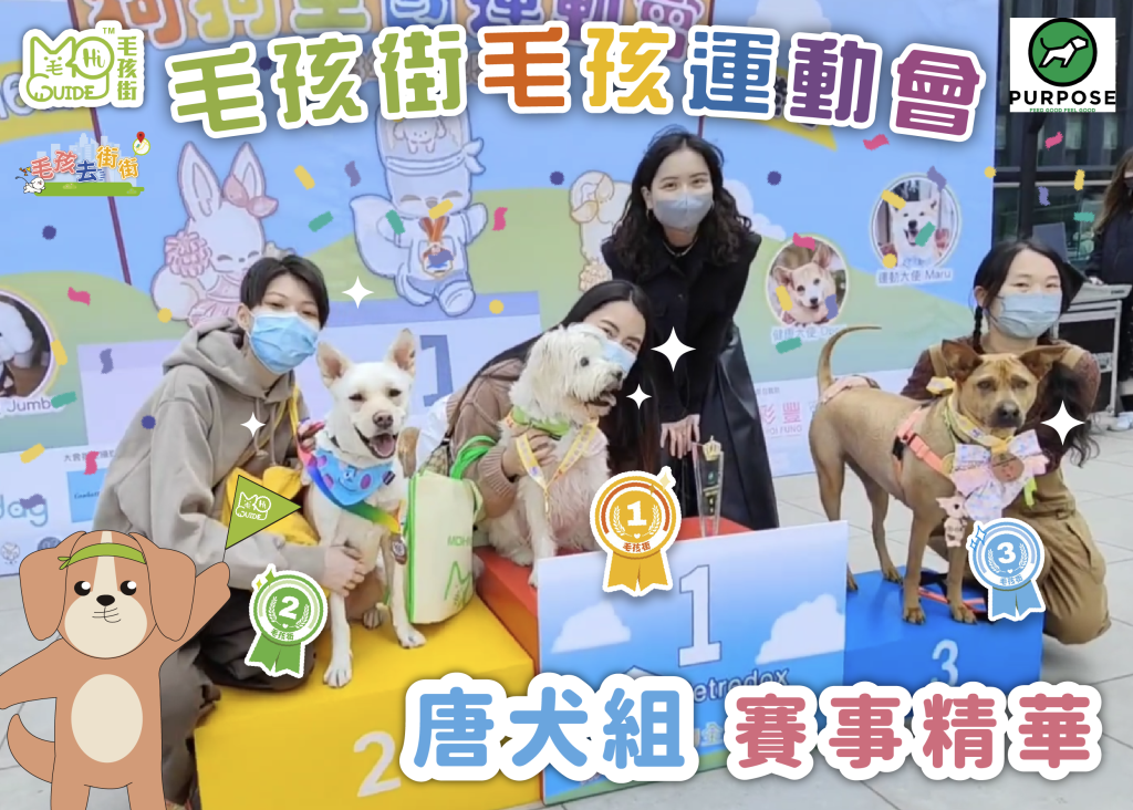 【毛孩街 X Purpose】⛳️毛孩運動會🏆【唐犬組】活動花絮+賽事精華🏅