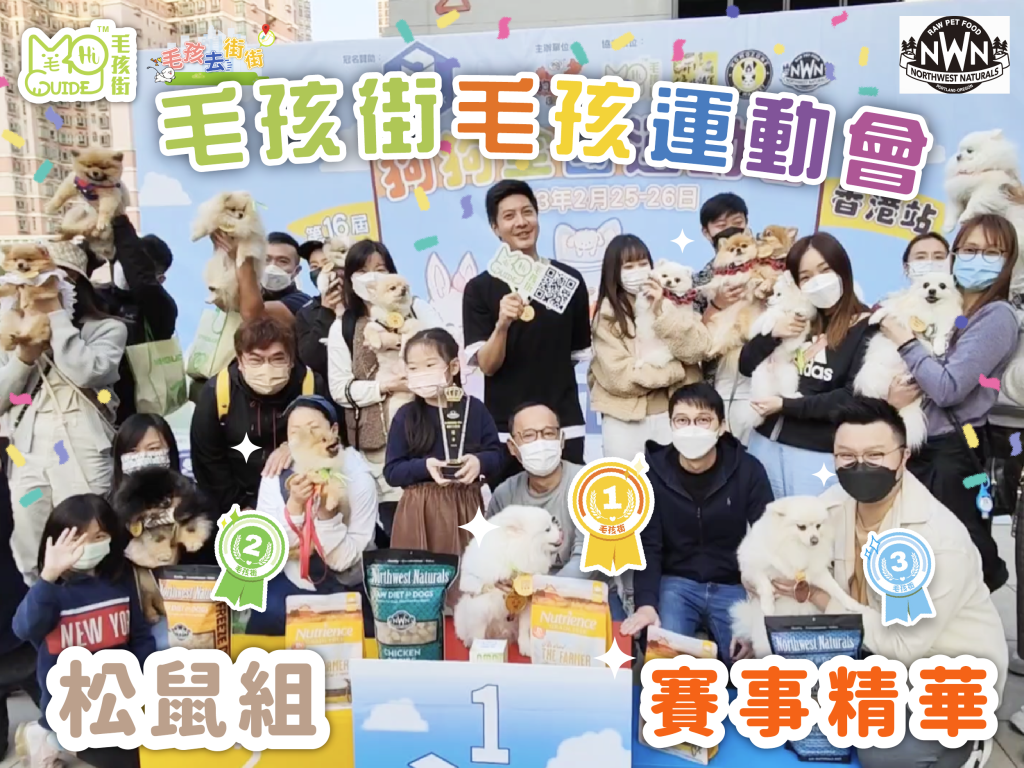 【毛孩街 X NWN】⛳️毛孩運動會🏆【松鼠組】活動花絮+賽事精華🏅