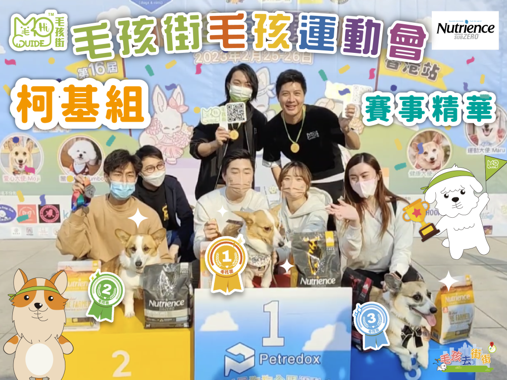 【毛孩街 X Nutrience】⛳️毛孩運動會🏆【柯基組】活動花絮+賽事精華🏅