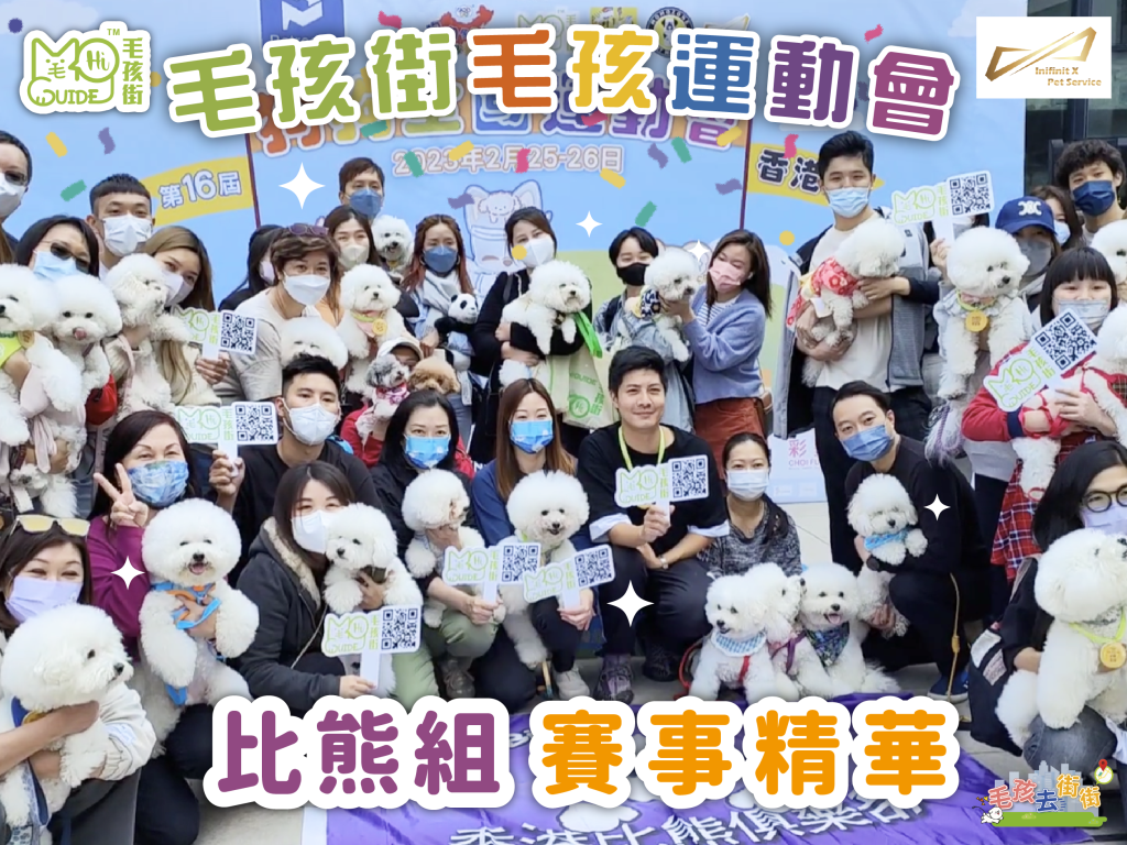 【毛孩街 X Inifinit X Pet Service】⛳️毛孩運動會🏆【比熊組】活動花絮+賽事精華🏅
