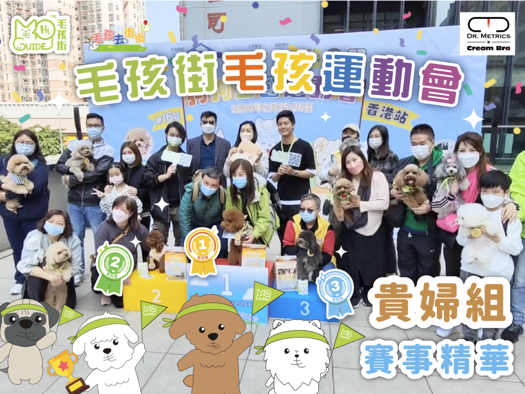 【毛孩街 X Dr Metrics x Cream Bro】⛳️毛孩運動會🏆【貴婦組】活動花絮+賽事精華🏅