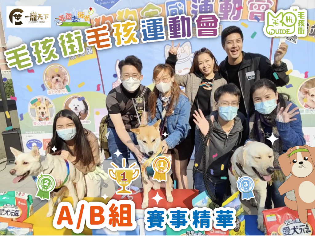 【毛孩街 X 一寵天下】⛳️毛孩運動會🏆【A/B組】活動花絮+賽事精華🏅