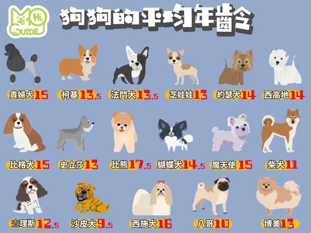 【毛孩知識】🐶狗狗的平均年齡⁉️🦴️