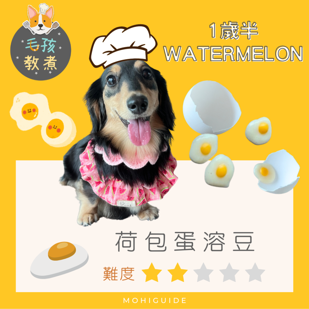 【毛孩教煮】荷包蛋溶豆