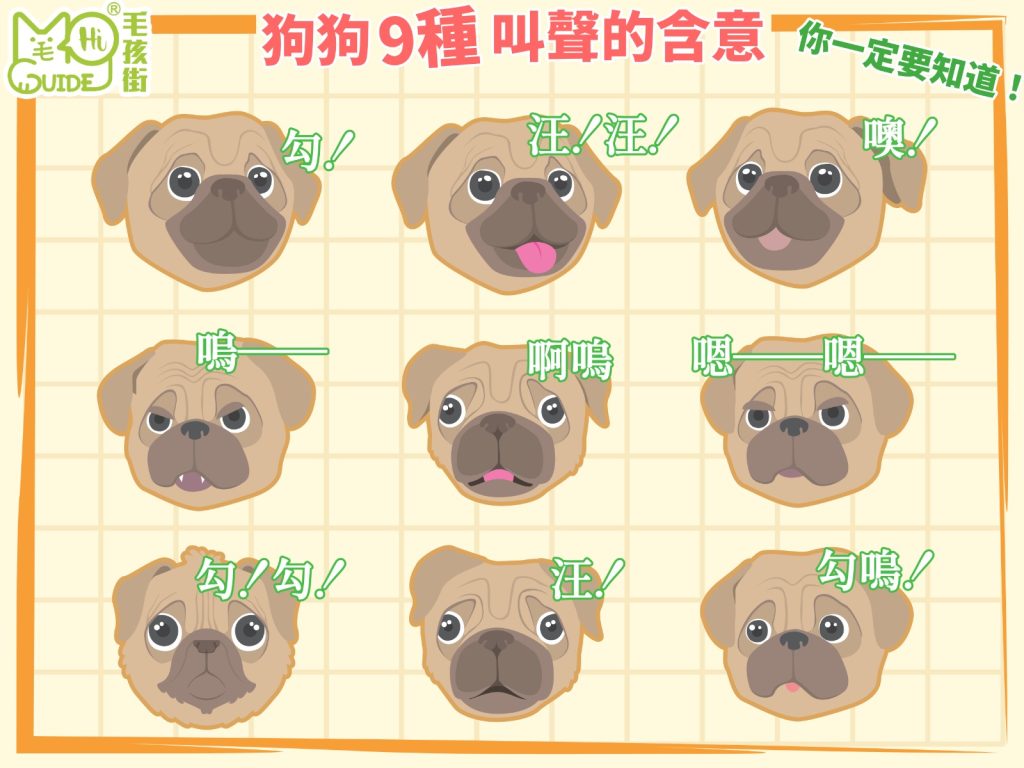 【毛孩知識】狗狗🐶9種叫聲的含意❗