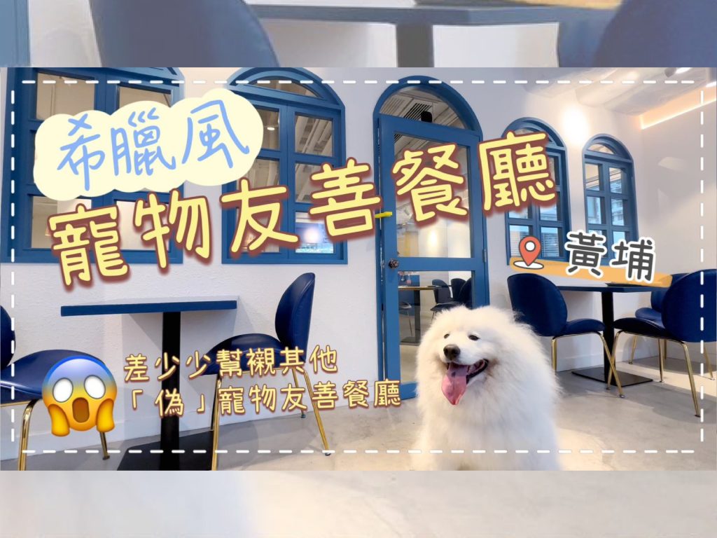 【毛孩去街街】放狗好去處🐙｜差少少幫襯「偽」寵物友善餐廳，臨時改去希臘風🇬🇷寵物友善餐廳｜Pastime