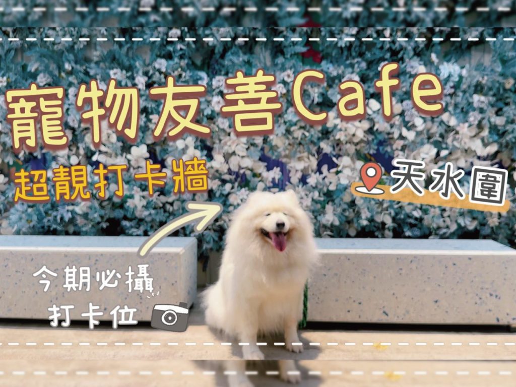 【毛孩去街街】放狗好去處🐙｜Tiffany Blue超靚花花打卡牆，天水圍寵物友善餐廳