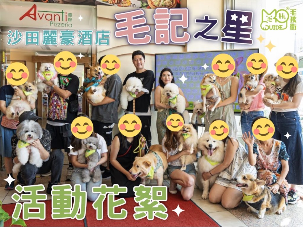 【麗豪酒店 x 毛孩街】活動花絮