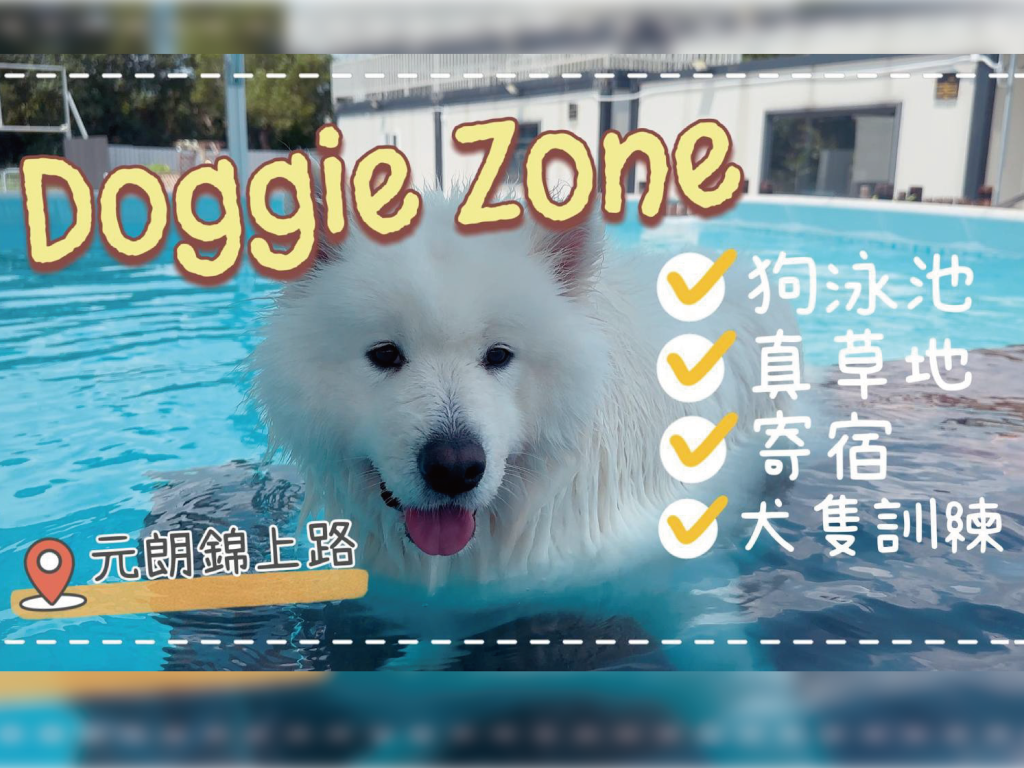 香港狗泳池🐙｜新開錦上路狗泳池，有犬隻訓練、寵物寄宿、包場BBQ