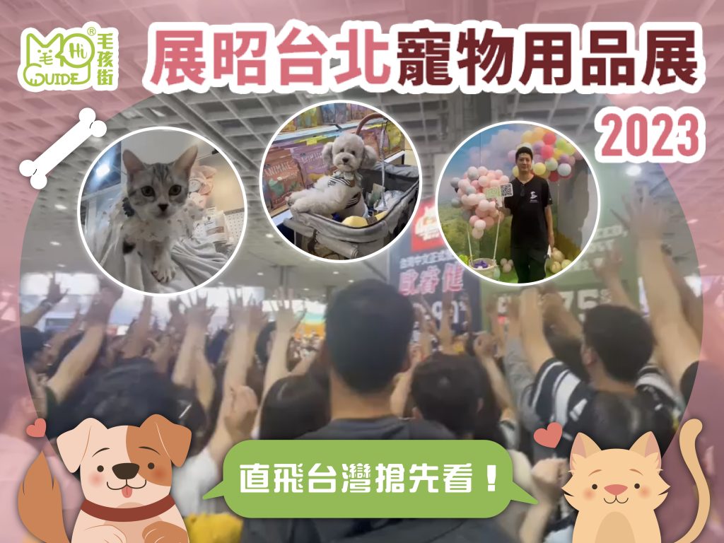 〈毛孩街〉🐶🐱直飛台灣報導✈️展昭寵物用品展2023🇹🇼