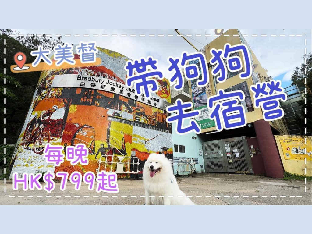 帶大狗去宿營🐙｜每晚HK9起，大尾督白普理賽馬會青年旅舍，Hong Kong Pet-friendly Camping