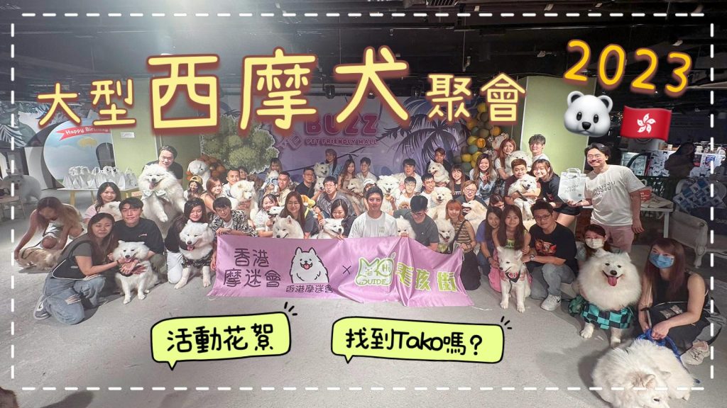 香港大型西摩犬聚會｜西摩犬Tako｜
