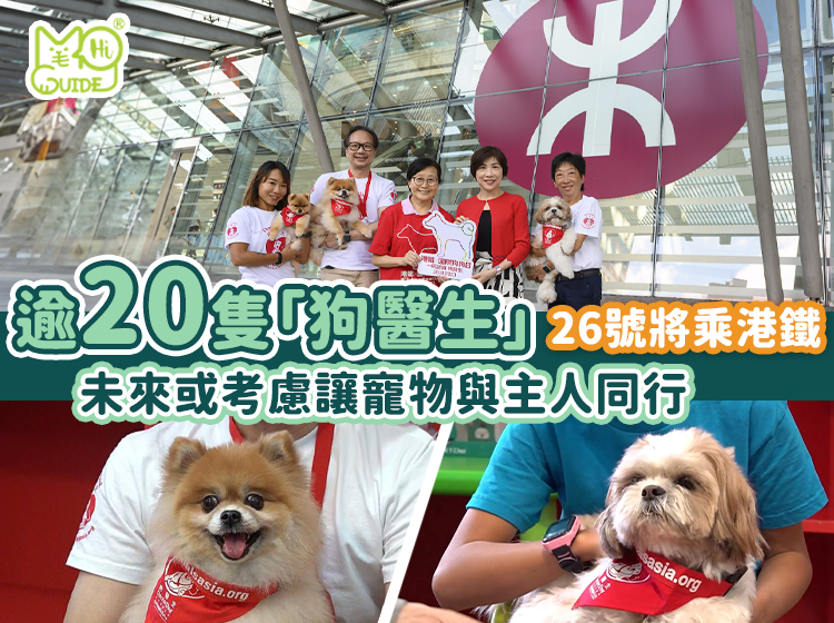 【毛新聞】逾20隻「狗醫生」26日將乘港鐵　未來或考慮讓寵物與主人同行