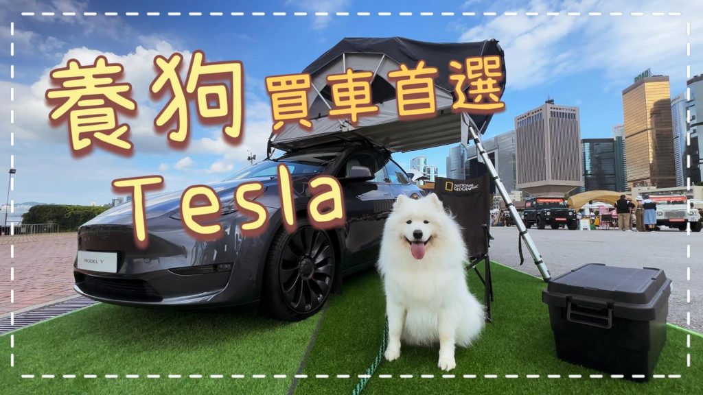 養狗Vlog🐙｜Tako成功問Tesla借車拍片？開箱Model Y的寵物模式｜西摩Tako｜