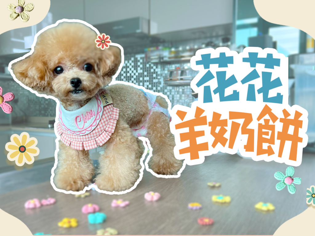 【毛孩教煮】花花羊奶餅