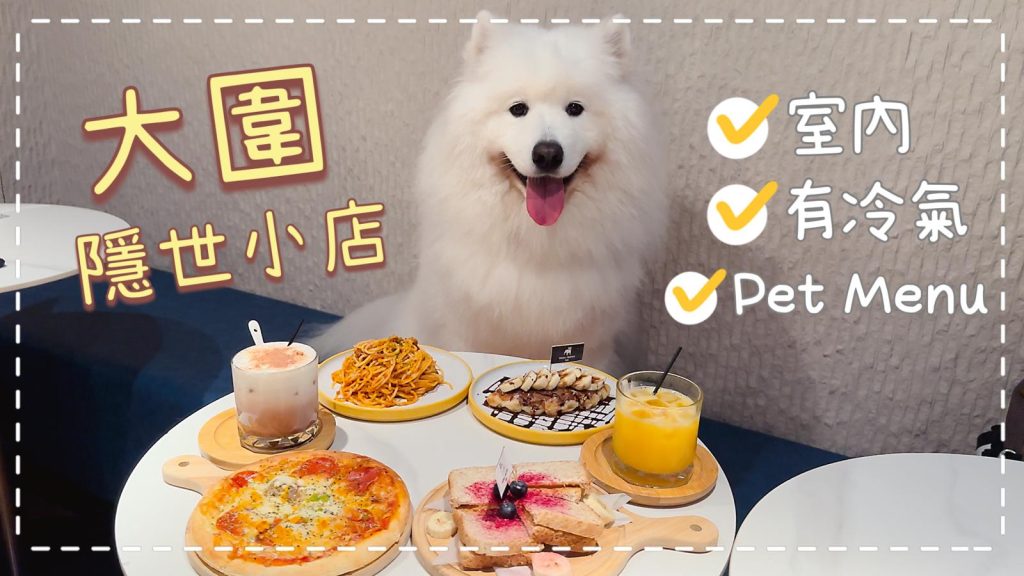 大圍隱世小店🔎｜西摩犬Tako｜