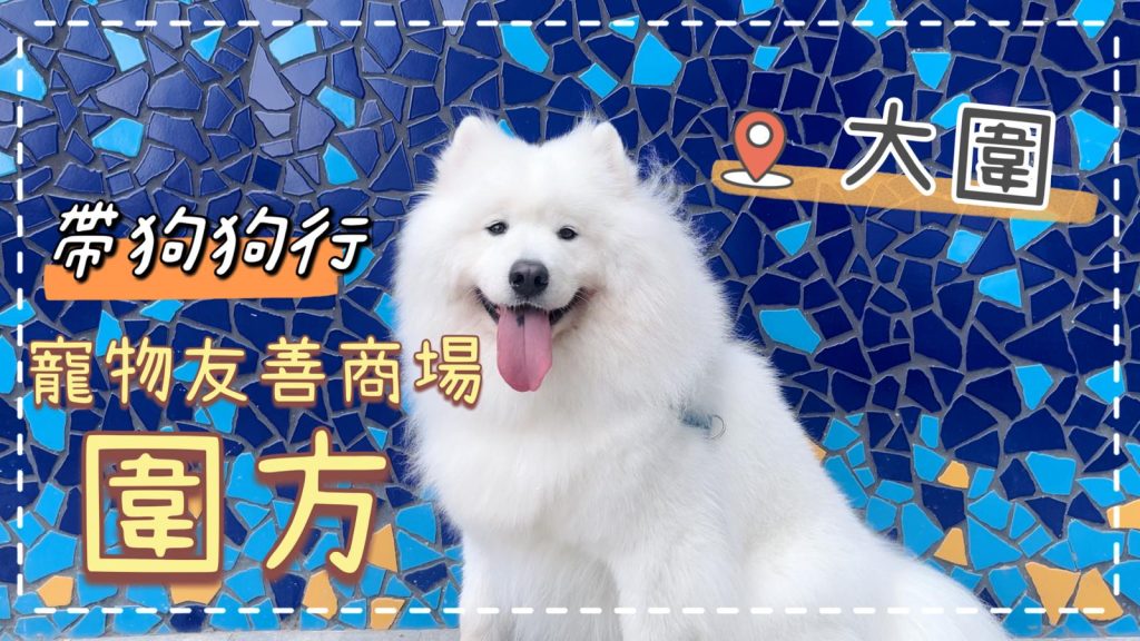 帶狗狗行大圍寵物友善商場「圍方」🔎｜西摩犬Tako｜