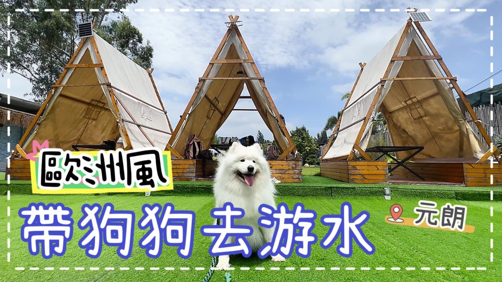 開箱「歐洲風格」狗泳池🏖️｜西摩犬Tako｜
