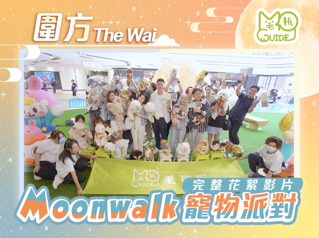 🥮Moonwalk寵物派對🐇 | 毛孩齊慶中秋