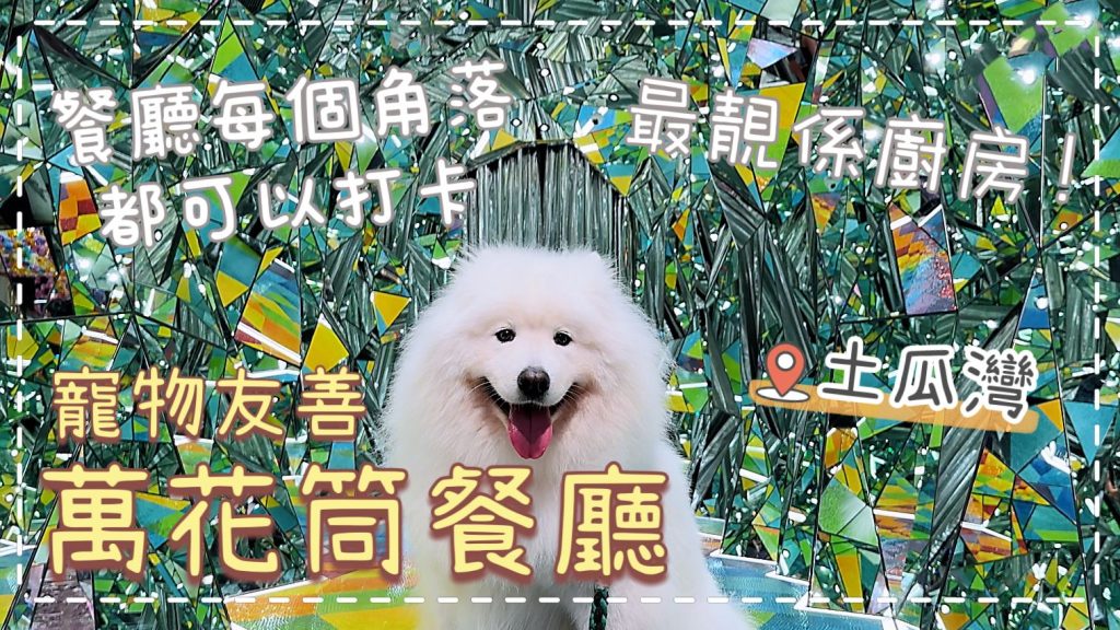 充滿「打卡位」📸的寵物友善餐廳，連廚房都打到卡？大名鼎鼎的🏵️萬花筒餐廳🏵️｜西摩Tako｜