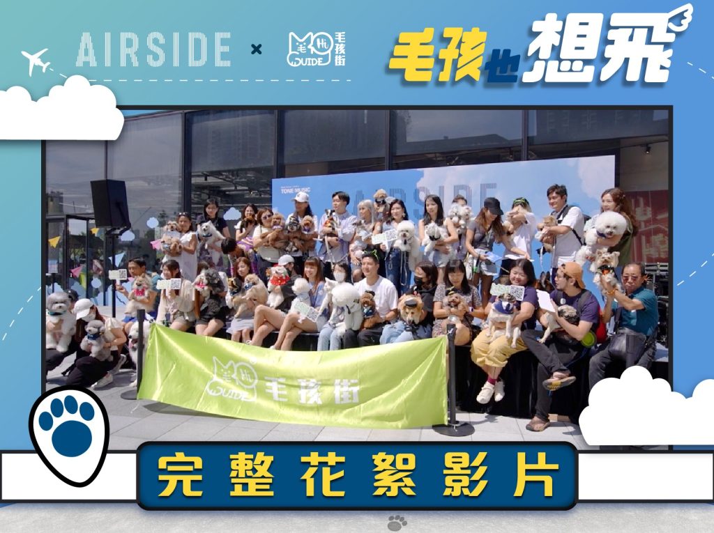 AIRSIDE X 毛孩街｜✈️毛孩也想飛🐶🐱｜