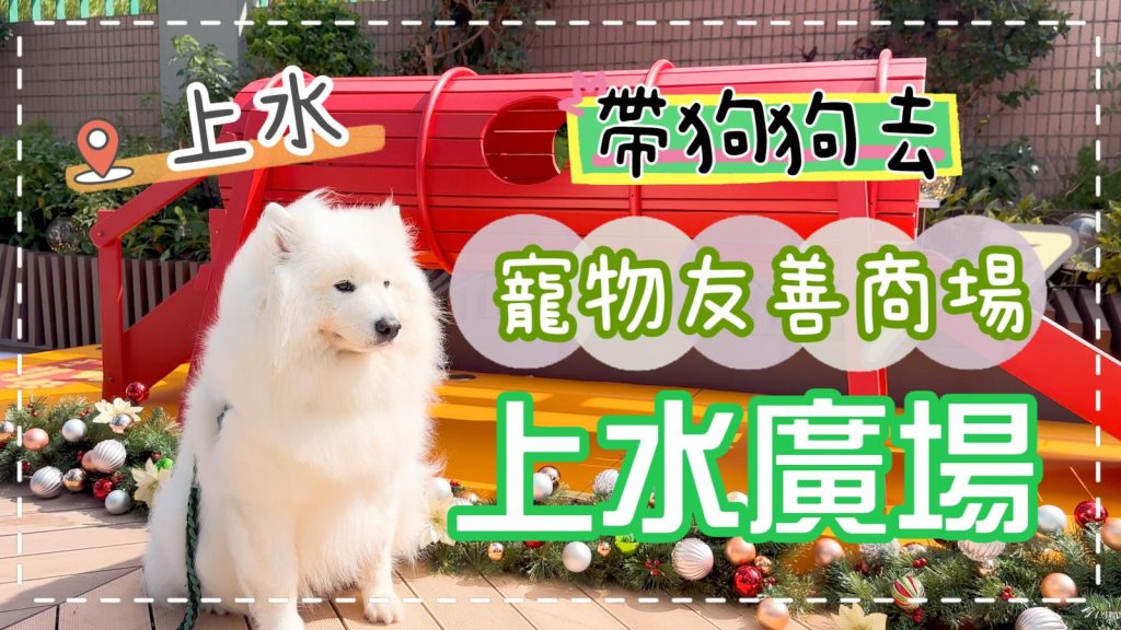 放狗好去處🐙｜「上水廣場」正式成為寵物友善商場，介紹餐廳、打卡位｜西摩Tako｜