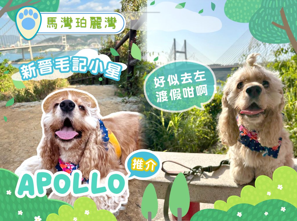 【好去處】x 馬灣珀麗灣