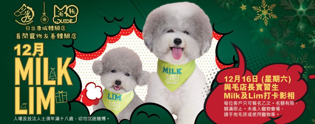 「日出康城店體驗店」 🎄12月聖誕活動 🎄