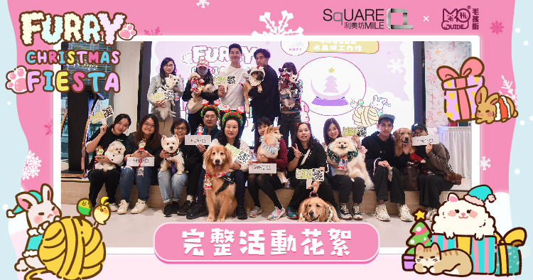 【🔮毛孩發光聖誕水晶球 工作坊】相片花絮