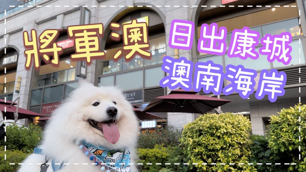 澳南海岸&日出康城🐙｜西摩Tako在將軍澳一日出兩個活動，Tako媽第一次單拖帶Tako出遠門，實測寵物接送Apps｜西摩Tako｜