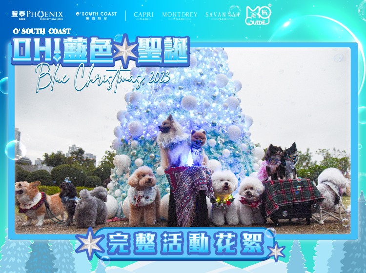 澳南海岸 X 毛孩街【Oh! 藍色聖誕】Opening花絮