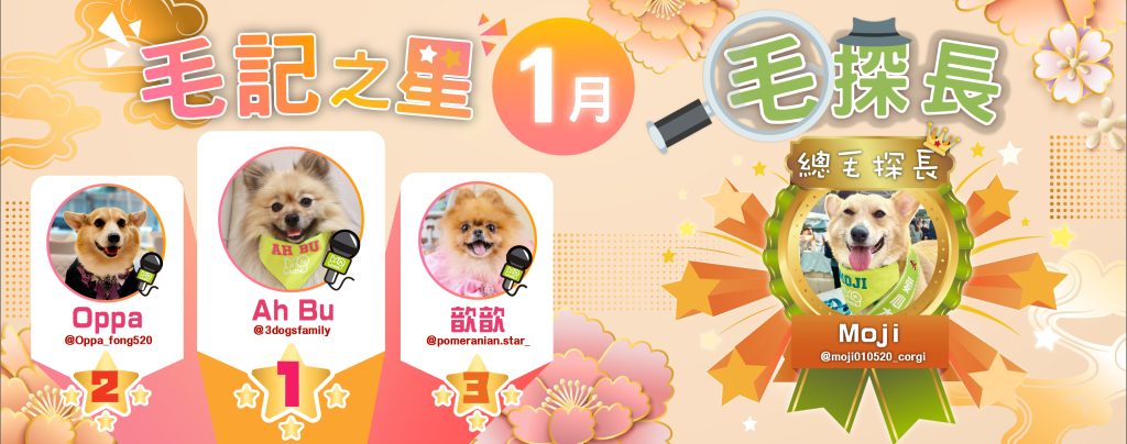 1月毛記之星+毛探長