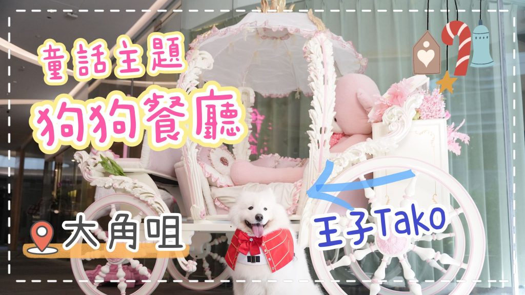 歡迎任何狗狗內進的狗狗餐廳，Tako第一次參加「飲宴級」的狗狗生日會｜西摩Tako｜