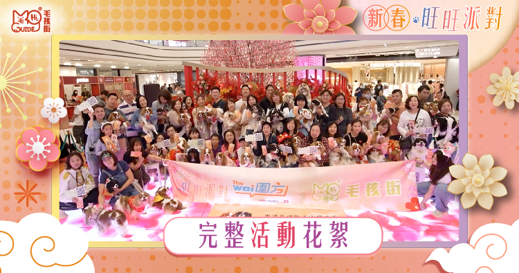 <毛孩街> X The wai 【🧧新春旺旺派對🐶】